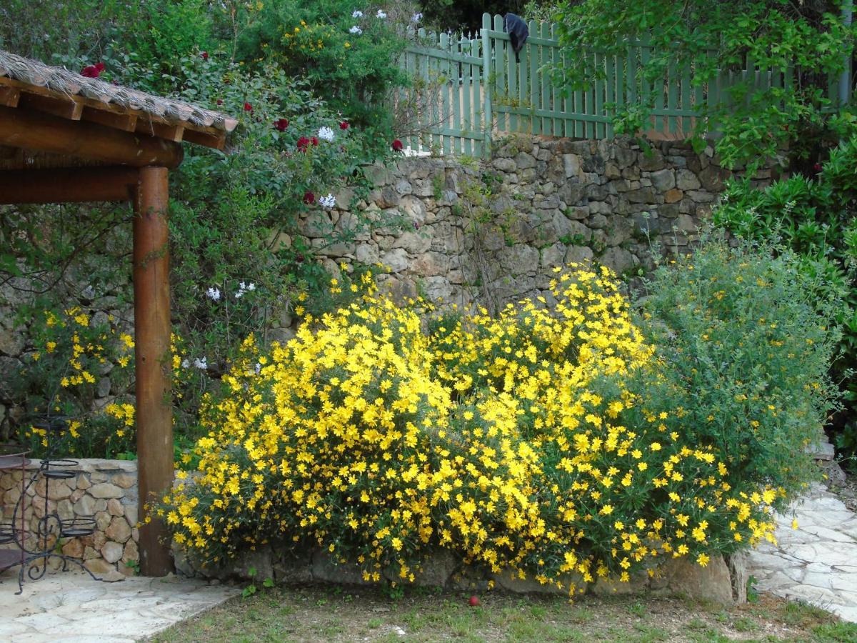 Bed & Breakfast Mas Des Citronniers *